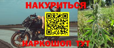 гашик Нарткала
